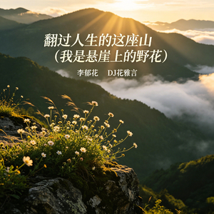 翻过人生的这座山（我是悬崖上的野花）