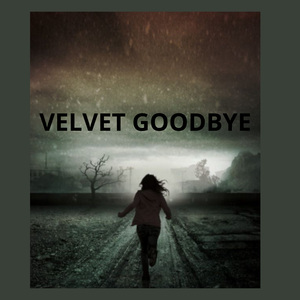 Velvet Goodbye
