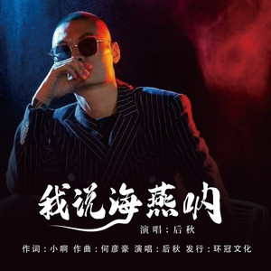 我说海燕呐(DJ版)
