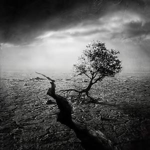 耗尽（翻自 魏晗(懋懋)）