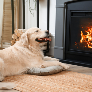 Nature Fire Tranquil Melodies