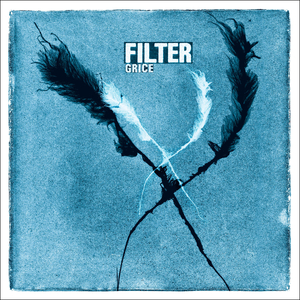 Filter