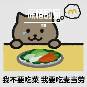 深情的猫