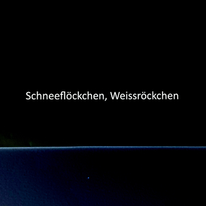 Schneeflöckchen Weissröckchen