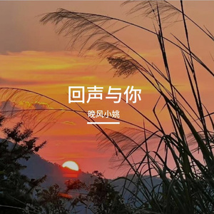 回声与你