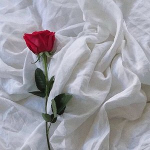 Rose Ladies（Prod by.金桔0RANG3/GOAT CREW）