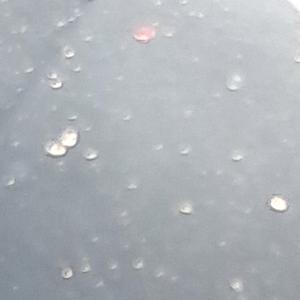 Untouchable Thugamaniacs