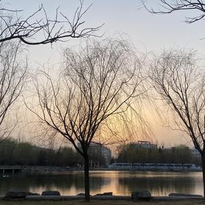 再见吧喵小姐_20220410_091303