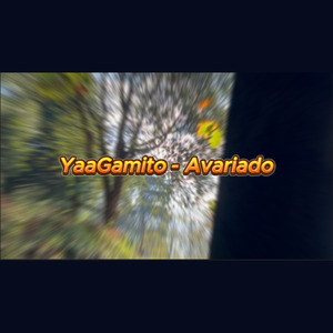 Avariado