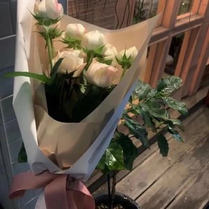 不想放开的手