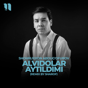 Alvidolar aytildimi (remix)