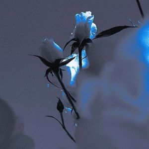 Armanem yok(别无所求)