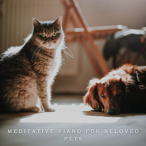Ethereal Pet Peaceful Notes