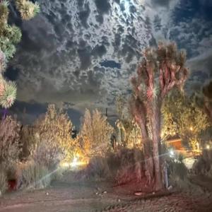 EGO DEATH