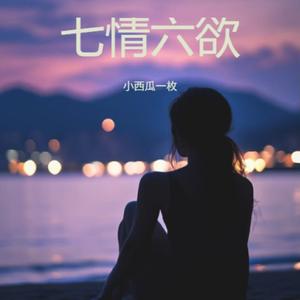 七情六欲 (深情版)