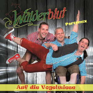 Auf die Vogelwiese (Instrumental)