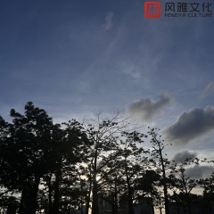 旧巷的院子记忆