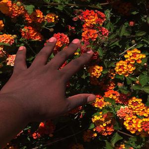 Space Ranger (Instrumental)