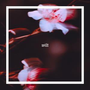 Wilt