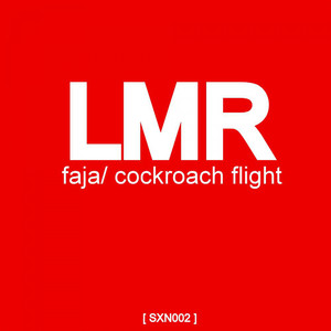 Cockroach Flight (Original Mix)