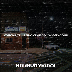 Karanlık Sokaklarda Yürüyorum