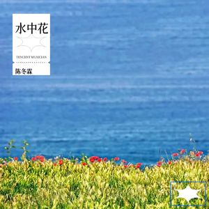水中花 (国语)
