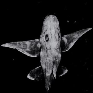 Sonarpuls (Swimful Remix)