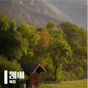 末班公交的独白