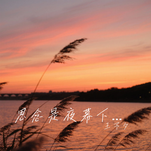 思念是夜幕下的细雨