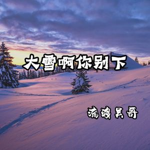 大雪啊你别下