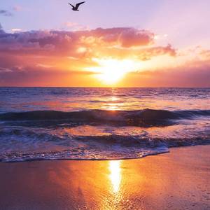 Through a sea of people