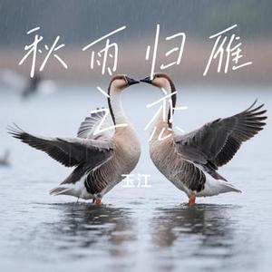 秋雨归雁之恋