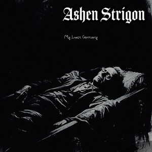 Shadows Across the Wall