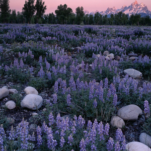 咱们都是七零后