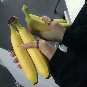 灰姑娘（prod.by 97Virus）