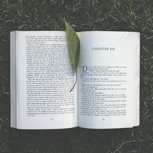 柔和的正在读书时刻