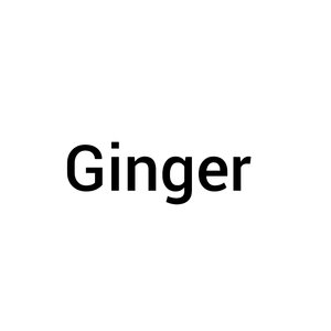 Ginger (Extended Mix)