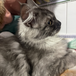 《我才知道有些告别从不声张》