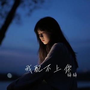 我配不上你 (Cover 夏天Alex)