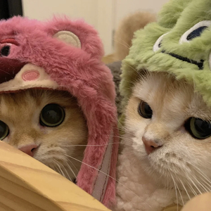 只想对你说 (Prod. Furyl)