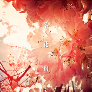 落花雨