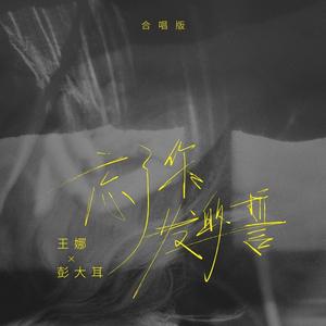 忘了你发的誓 (DJ九零版)