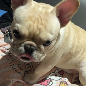 每日prod by海森堡Heisenberg