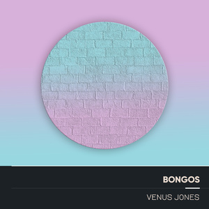 Bongos