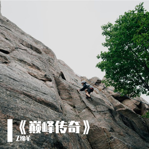 《巅峰传奇》