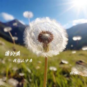 蒲公英（我从山中来）