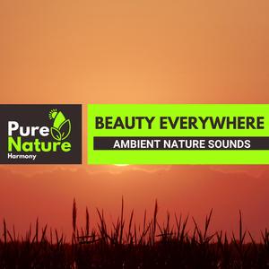 Spend a Day Outdoor with Cricket Noise