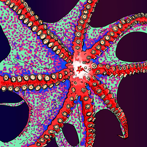 Cerveau d´un octopode