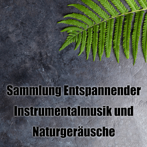 Sacred Piano Musik Atmosphere