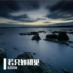 若只如初见